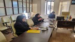 نشست تیم اعتبار بخشی آموزشی مرکز مطالعات و توسعه آموزش پزشکی با اعضا کمیته اعتبار بخشی دانشکده داروسازی برگزار شد