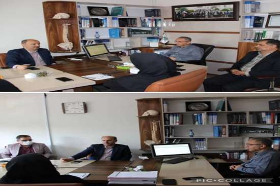 در راستای نیل به مرجعیت علمی و آینده نگاری برگزار شد: جلسه با قطب بالقوه ترومای جاده ای 